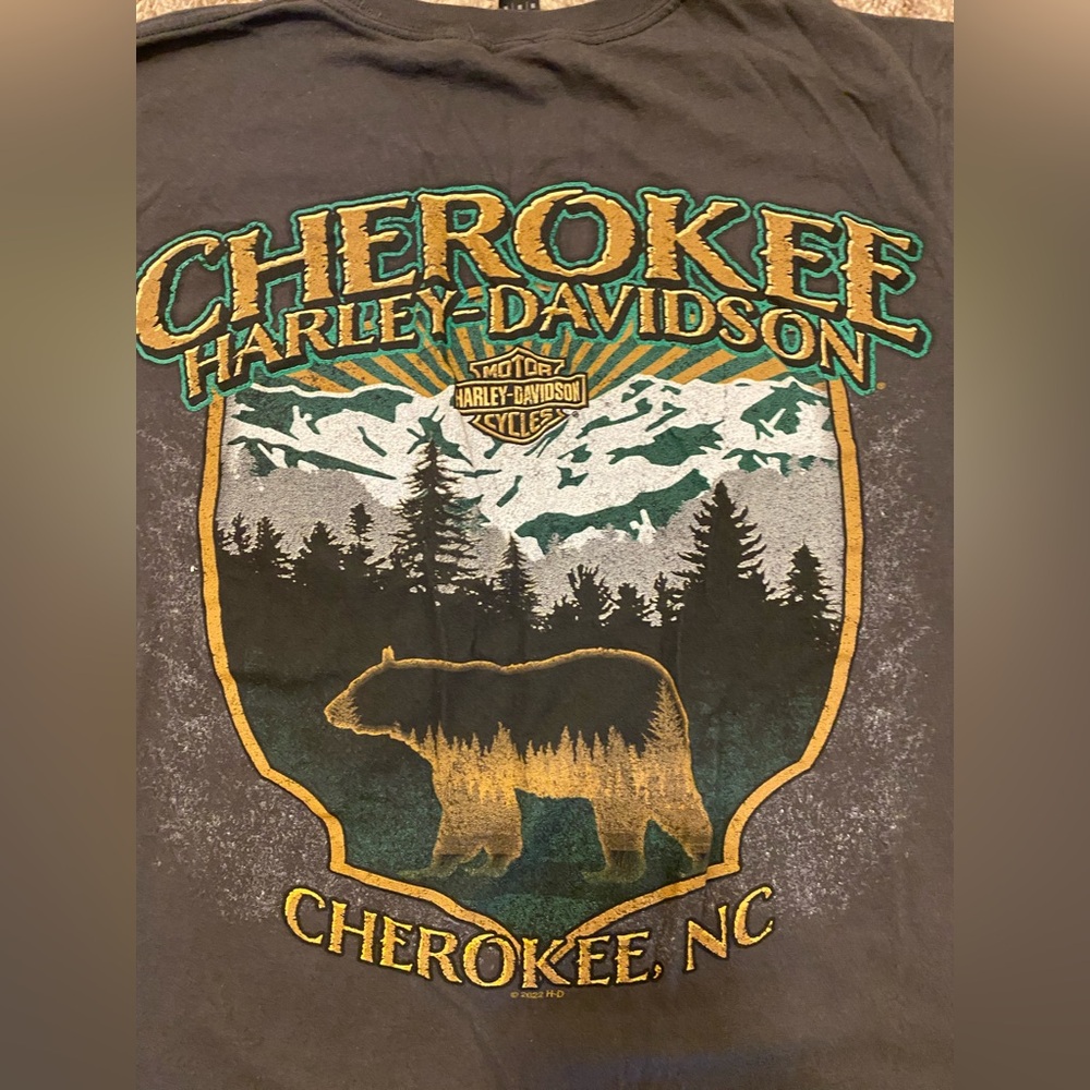 HARLEY DAVIDSON Cherokee Dark Gray T-Shirt Size Medium